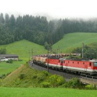 Trein door het dal